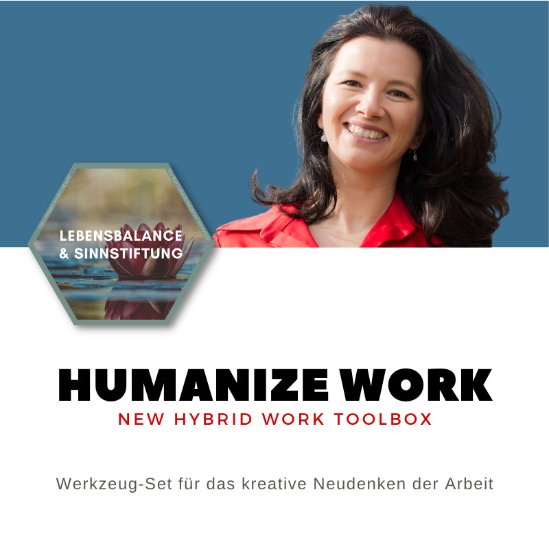 petranovskaja humanise work new work toolbox